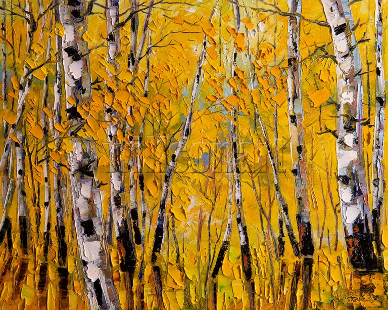 birch forest tree fall colors original landscape painting 16x20inches